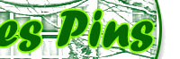 Résidence Des Pins, location d'appartements meublés